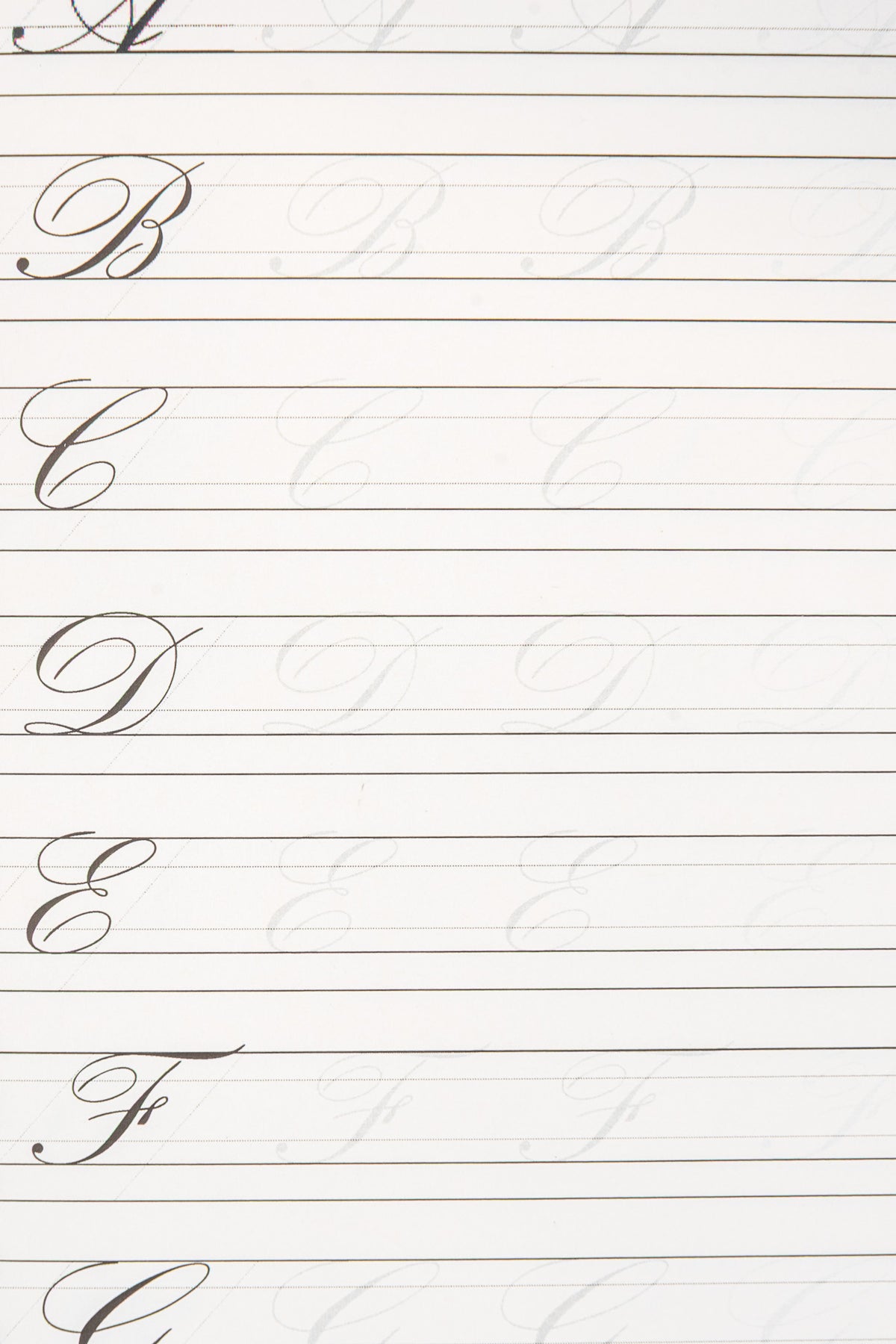 Calligraphy Notebook