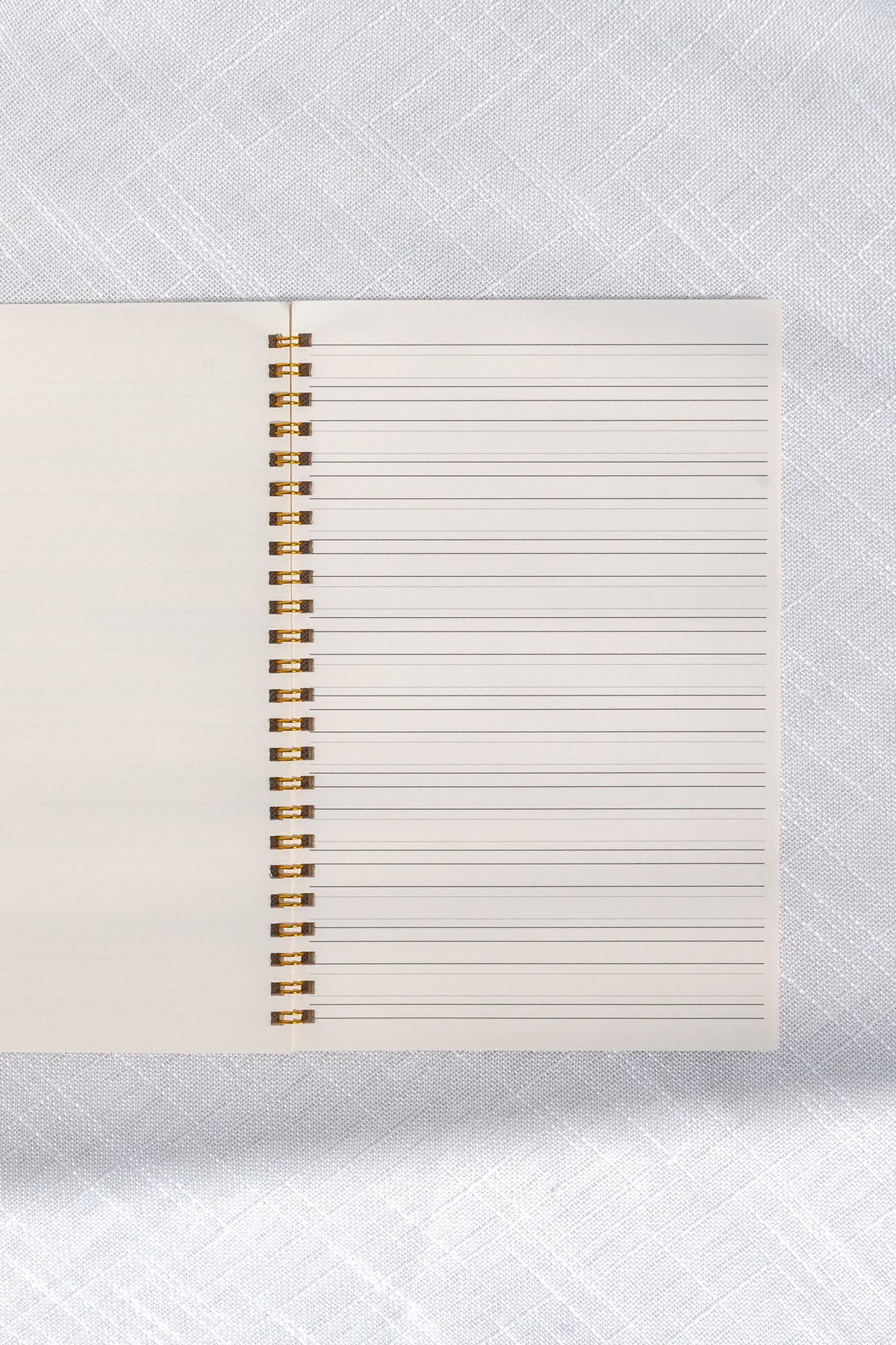 Calligraphy Notebook