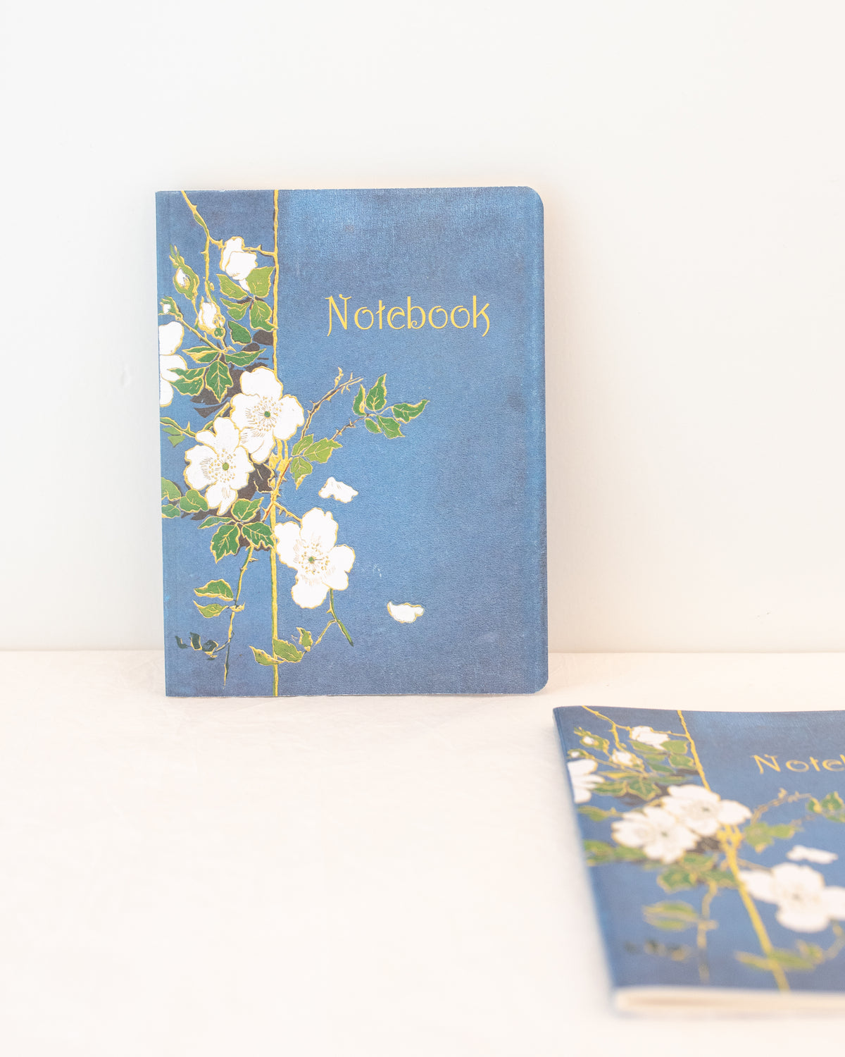 Two blue vintage notebooks with white rose covers and gold lettering, one upright and one in the foreground, front view.
