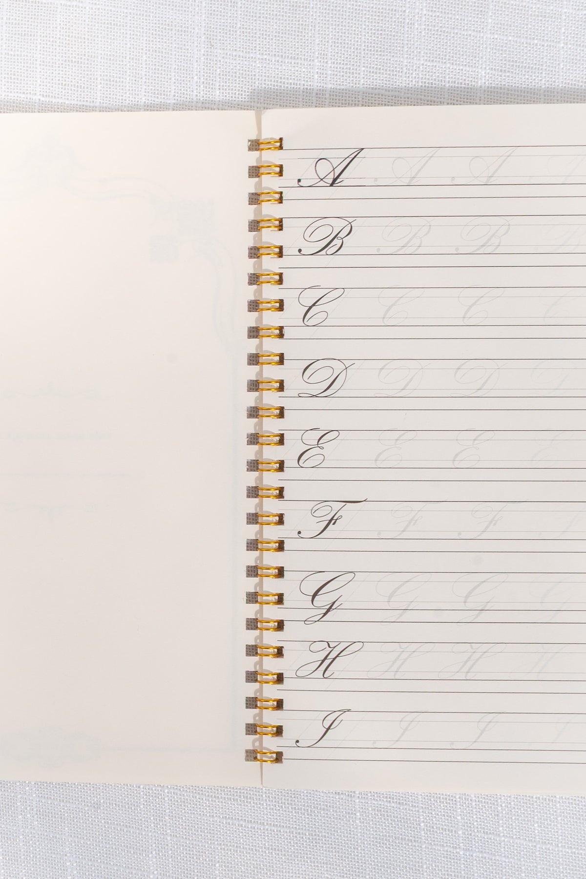 Calligraphy Notebook