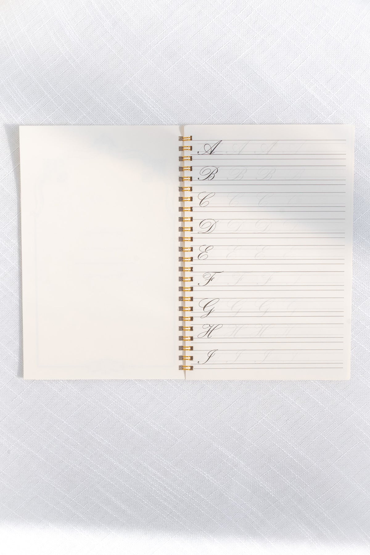 Calligraphy Notebook